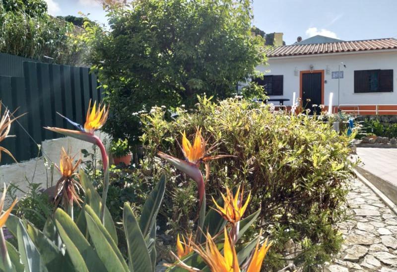 Casa De Campo Em セシンブラ エクステリア 写真